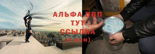 прущие грибы Киренск