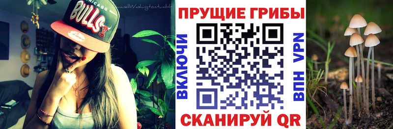 Галлюциногенные грибы мухоморы  сколько стоит  Ртищево 