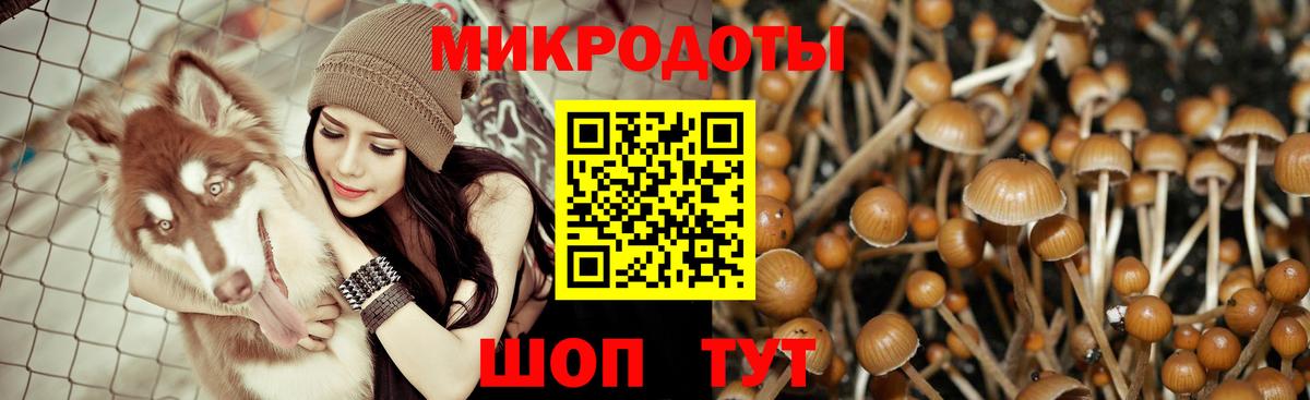 Псилоцибиновые грибы Cubensis  Вход с VPN  Ртищево 