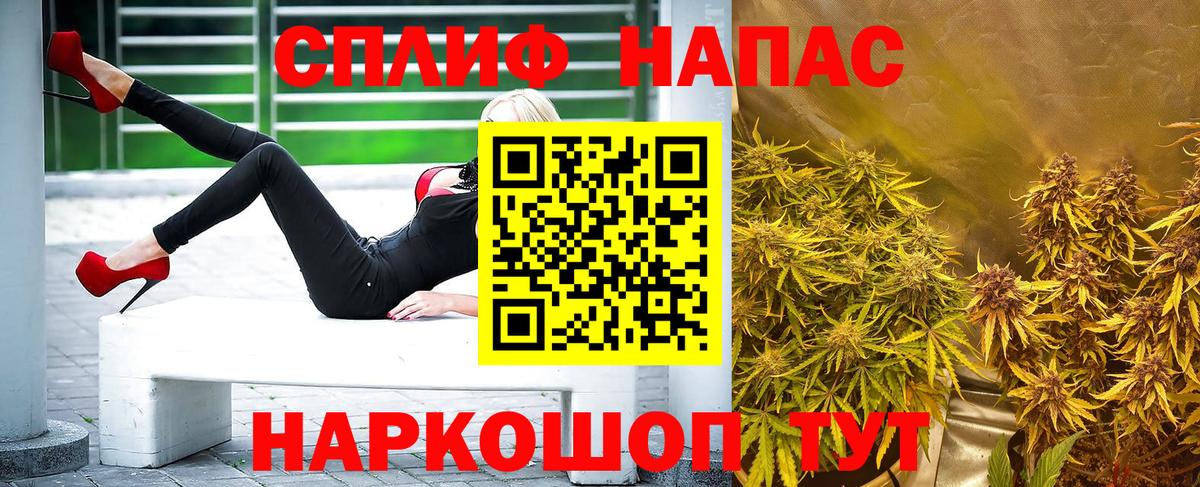 Каннабис конопля Ртищево